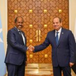 Somalia and Egyptian military official discuss strengthening strategic defense cooperation