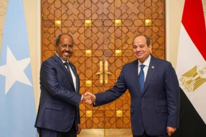 Somalia and Egyptian military official discuss strengthening strategic defense cooperation